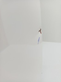 фото thumb №12, Hyundai staria 2021- двері ліва передні перед лівий ÷