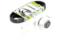 фото thumb №1, Набор ремни многоручейковых с ролики citroen ax saxo xsara peugeot