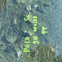 фото thumb №3, Стекло дверь правые перед polo панель крепления фар 9n 5 дверь