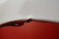 фото thumb №7, Крыло правое перед передний 068 toyota yaris 2 ii 05-09