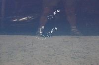 фото thumb №9, Дверь левый перед ford mondeo mk4