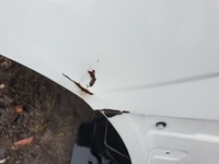 фото thumb №3, Дверь левый перед передние iveco daily vi 6 2014 -