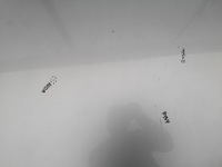 фото thumb №10, Капот кришка двигуна mazda 3 i bk 06-09 lift 5d hb оригінал