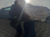 фото thumb №13, Дверь левый задняя seat leon ii чёрные lc9z