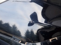 Бампер перед передний mg hs 2018- Оригинал, фото thumb