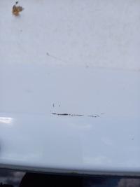 фото thumb №9, Кришка багажника задня mitsubishi colt vi 6 lift 5 двері