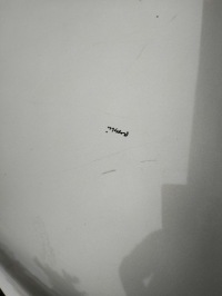 фото thumb №11, Капот renault scenic iii колір ted11 оригінал лак 2008-2012