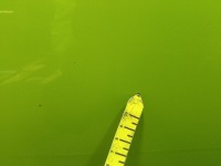 фото thumb №14, Nissan micra k13 10-13 5d двері перед ліва jad