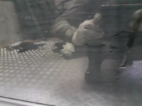 Дверь правый задний  saab 9-3 ii 2qu sedan Киев, фото thumb