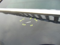 фото thumb №7, Дверь левый задняя citroen c4 ii чёрные ktv