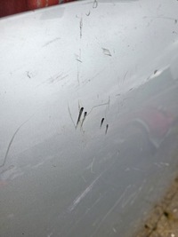 фото thumb №7, Капот vw volkswagen caddy 3 drugi lift 2015-2020