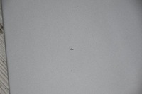 фото thumb №5, Капот крышка двигателя audi a6 c5 ly7q