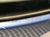 фото thumb №3, Крышка зад nissan micra k12 хэтчбек 02-10