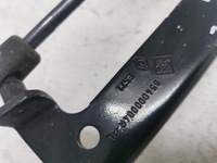 фото thumb №6, Петлі капот комплект renault scenic iii 08-16