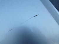 Капот кришка двигуна skoda octavia 2 2 колір 8e8e Київ, фото thumb