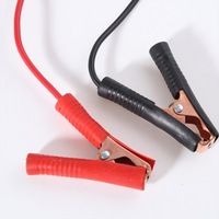 фото thumb №8, Inteligentna зарядний пристрій do акумуляторів motocy