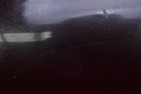 фото thumb №10, Зеркало правое eb eu 012268 hyundai tucson 1 i 04-10 5 pin