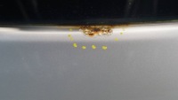 фото thumb №10, Крышка багажника hyundai i20 i рестайлинг