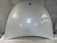 фото thumb №1, Tesla y капот