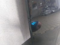 фото thumb №5, Капот audi a3 sedan 8v5 13-