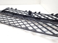 фото thumb №16, 2015 bentley flying spur нижня решітка бампера передній 10146559