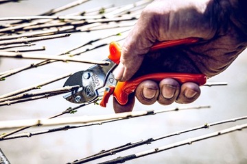 NOŻYCE SEKATOR KOWADEŁKOWY do GAŁĘZI LOWE 5 .107 mały 17,5cm + OSTRZAŁKA