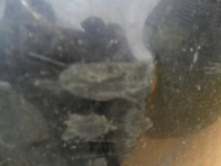 фото thumb №12, Audi a4 b5 sedan бампер задній 8d5807364