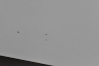 Капот крышка двигателя белый tesla model x 15-21 Недорого, фото thumb