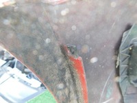 фото thumb №9, Seat ibiza iv lift 13- бампер передній перед