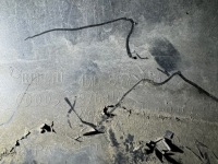 фото thumb №7, Audi q7 4m0 lift sline бампер передний