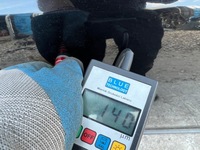 фото thumb №8, Дверь opel antara правый задняя задние полный