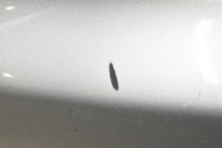 Бампер задний  задний lx7w pdc audi a4 b8 sedan 07-11 с Разборки, фото thumb