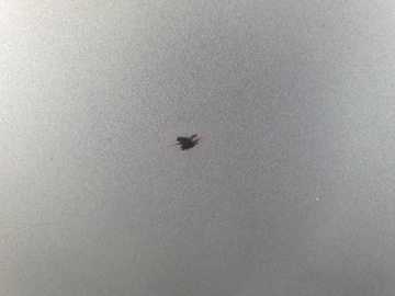 фото thumb №11, Дверь зад сдвижные правые ford transit connect mk1