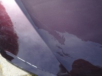 фото thumb №2, Seat leon iii lift капот оригинал ll4u