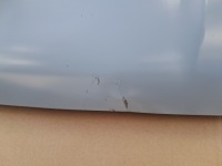 Капот кришка двигуна ford ranger raptor кришка двигуна n1wb-16610-cl нова Зі Шроту, фото thumb