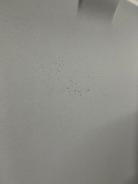 фото thumb №12, Seat ibiza 6f 18-22r потолок 6f0867501g