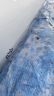 фото thumb №7, Крышка багажника багажника renault laguna iii kombii