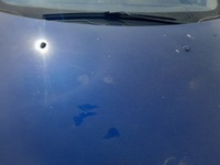 фото thumb №8, Peugeot 307 капот крышка двигателя eged