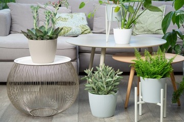 Крышка для вазона Magnolia Jumper 300 Ламела Кремовый