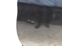 фото thumb №13, Mitsubishi l200 двері передні лівий 2020 pickup голий 4/5dr szary 19-24