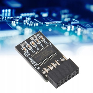 МОДУЛЬ БЕЗОПАСНОСТИ TPM2.0 GIGABYTE PLATFORM12PIN