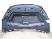 фото thumb №11, Новая оригинальная капот крышка двигателя dacia lodgy js доккер 2012-