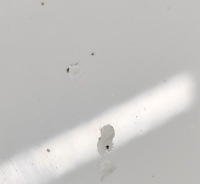 Porsche cayenne 92a 2014 кришка передня / капот двигуна Зі Шроту, фото thumb