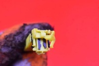 фото thumb №10, Лента подушка безопасности шлейф 47945-1ha0a nissan micra k13 13-16