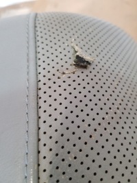 фото thumb №14, Диван зад шкіра vw phaeton 3d2 3.0tdi 06r