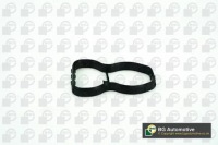 Inlet manifold gasket bmw mg0920 bga Ціна, фото thumb