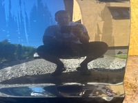 фото thumb №9, Hyundai i30 i-30 iii 3 hb kombi 17- дверь правое задние задняя