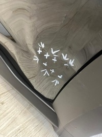 фото thumb №6, Дверь левая задние левый задняя nissan juke 2 ii 2019-