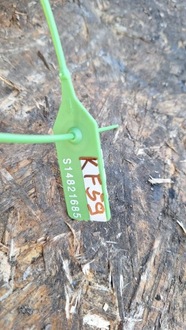 фото thumb №10, Балка ось подвешивание зад новое диски kpl ford focus mk2 универсал