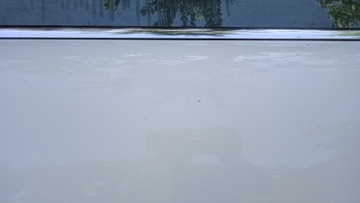 фото thumb №9, Mini cooper r56 дверь перед правые 850/0 3d